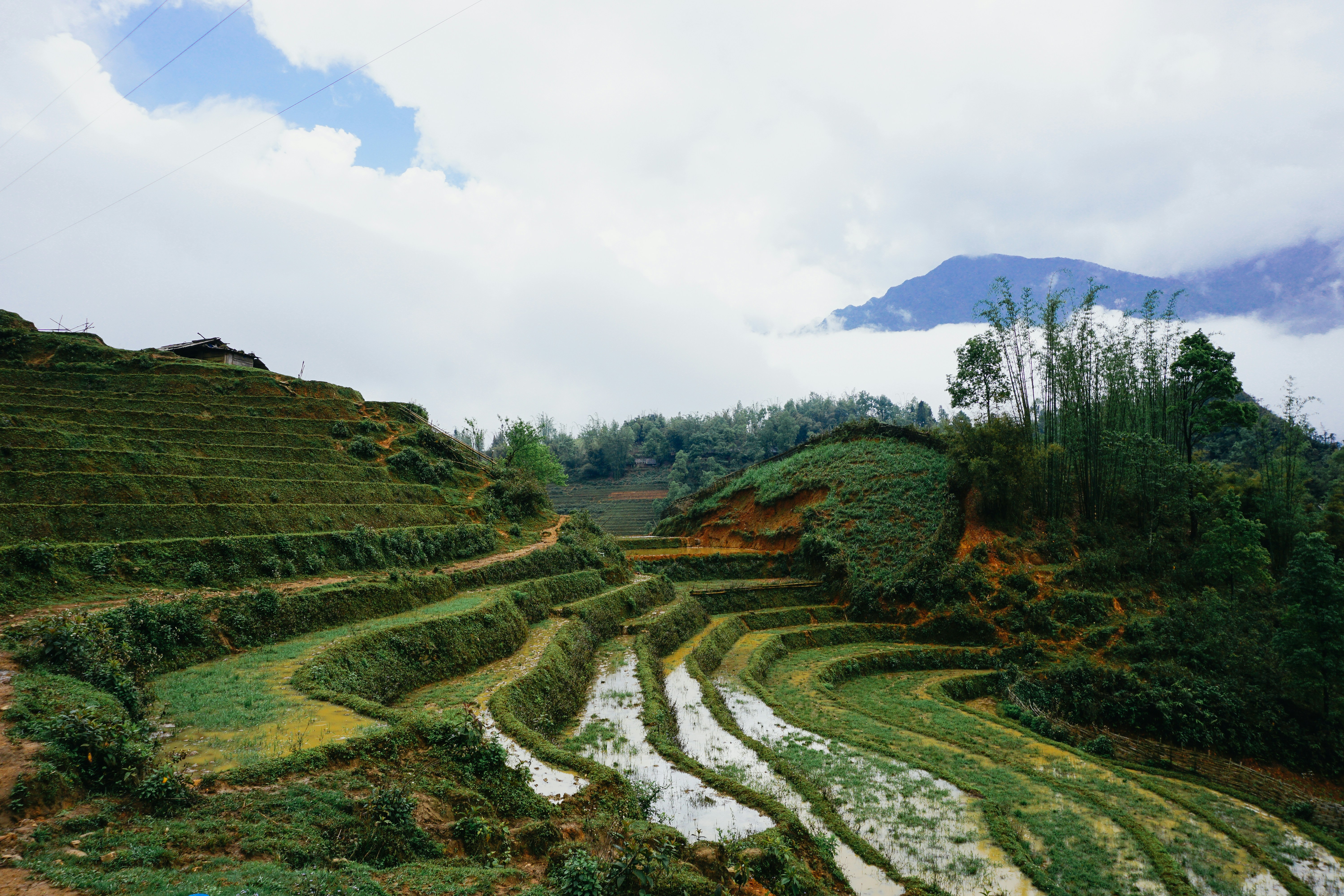 green grass field under white sky during daytime, Sapa Trekking