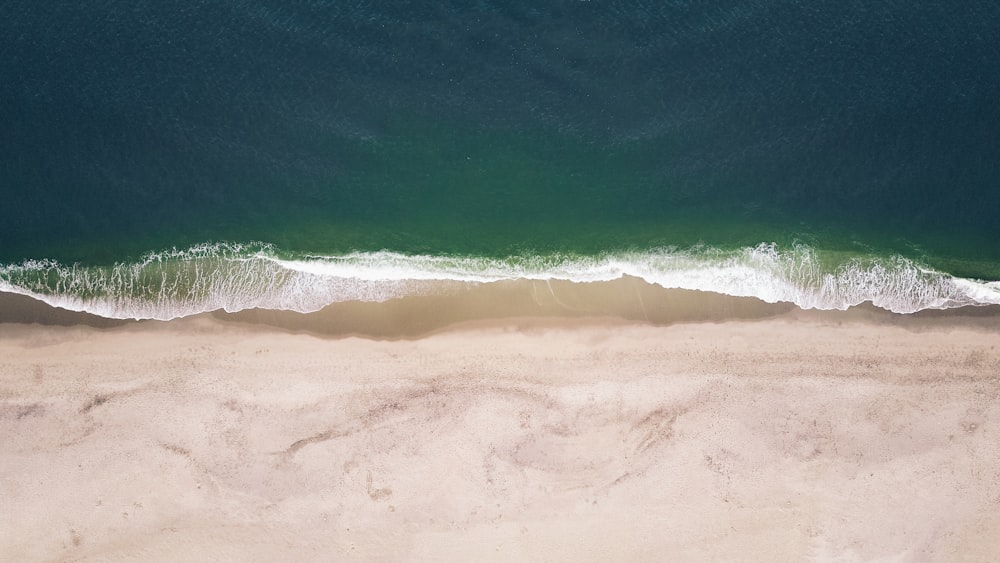 aerial photography of coast