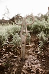 brown steel scissors on ground