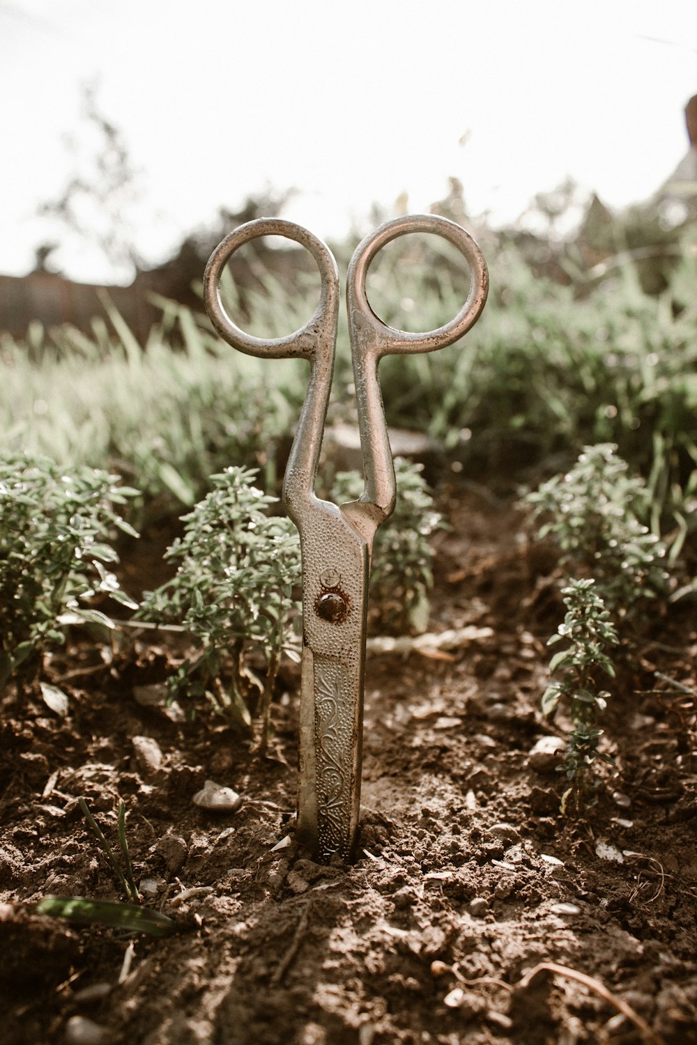 brown steel scissors on ground