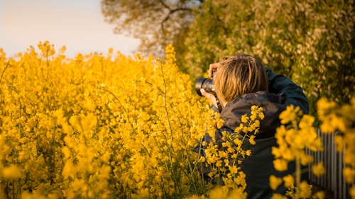 A person with short hair is standing in a field of vibrant yellow flowers, holding a camera up to their face, capturing a photograph. Lush greenery forms the backdrop, creating a peaceful and natural setting. The image is taken from behind the person, emphasizing the act of photography surrounded by nature.