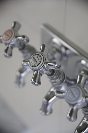 Three metallic cross-handled faucets are attached to a wall plate, each labeled with decorative text. The central faucet's label reads 'Lille Herbeau France'. The design is vintage with a polished chrome finish.