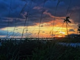 A vibrant sunset over a tropical beach with silhouettes of palm trees.