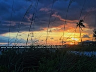 A vibrant sunset over a Florida swamp with silhouettes of cypress trees.