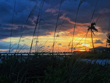 A vibrant sunset over a tropical island with palm trees.