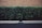 A neatly trimmed hedge of vibrant green foliage is positioned against a background of light brown brickwork. In front of the hedge, a pair of simple, modern wooden benches with a sleek design are visible, blending into a minimalist urban environment.