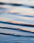 tilt shift lens photography of body of water