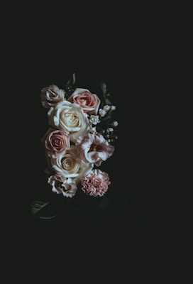 A cluster of soft pink and ivory roses set against a deep black background, capturing a sense of elegance and simplicity. The details of the petals are highlighted by soft lighting, giving an intimate and serene impression.