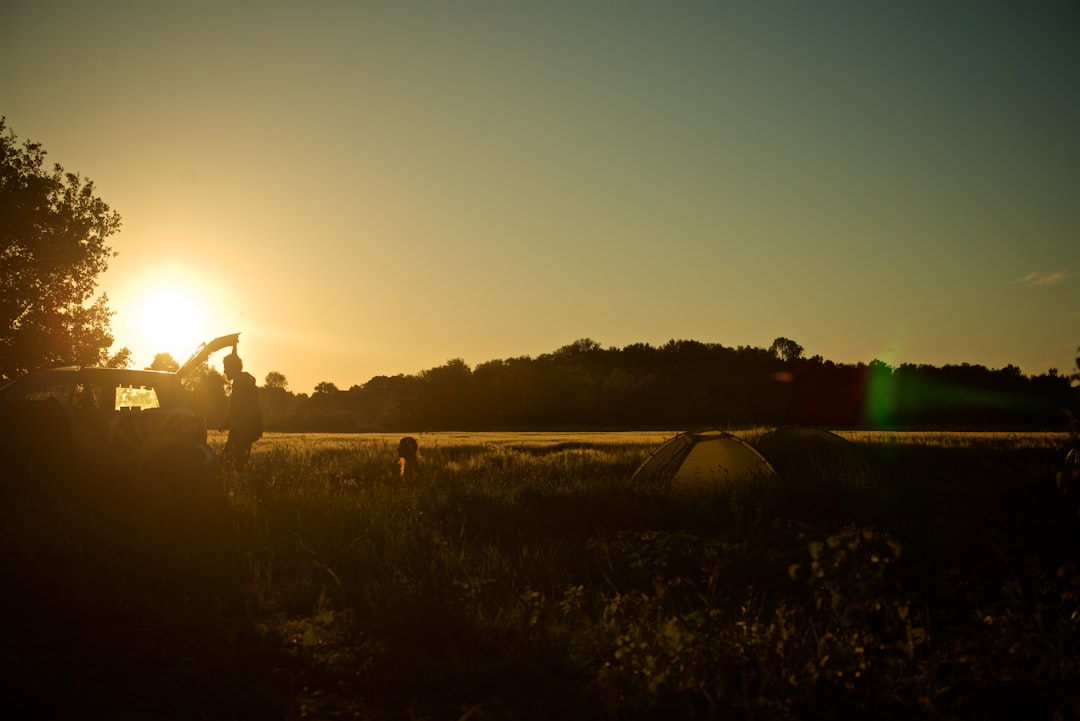 group of people camping on grass field