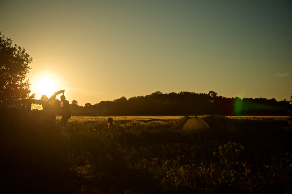 group of people camping on grass field