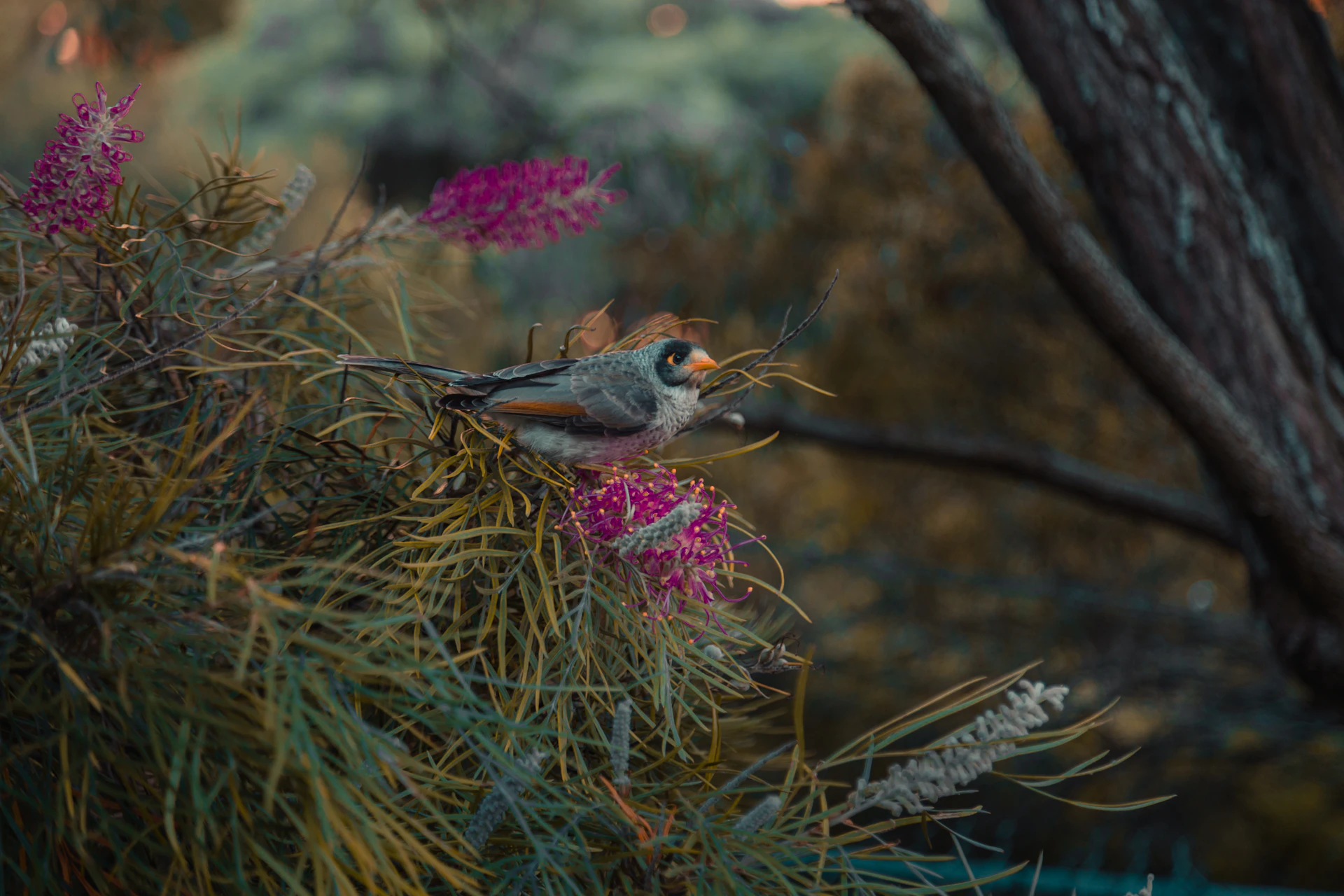 A close-up of a colorful bird perched on a branch, surrounded by lush green leaves and delicate wildflowers.