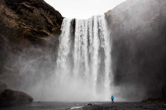 man standing front of waterfalls at daytime in Skógafoss Iceland