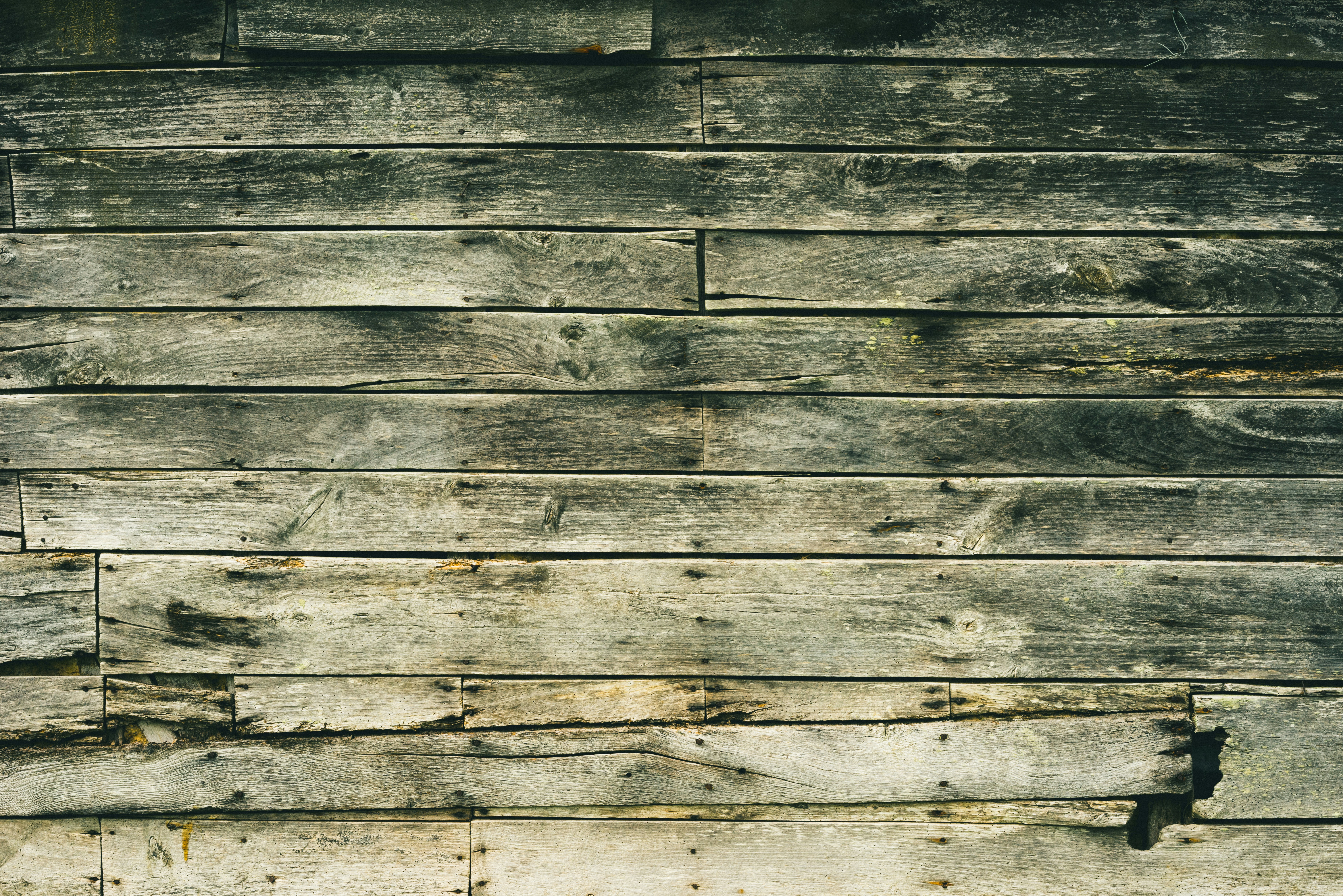 Navigating the Digital Wilderness with Your Teen