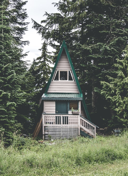 closeup photography of white and green bungalow house surrounded by trees in Grouse Mountain Canada