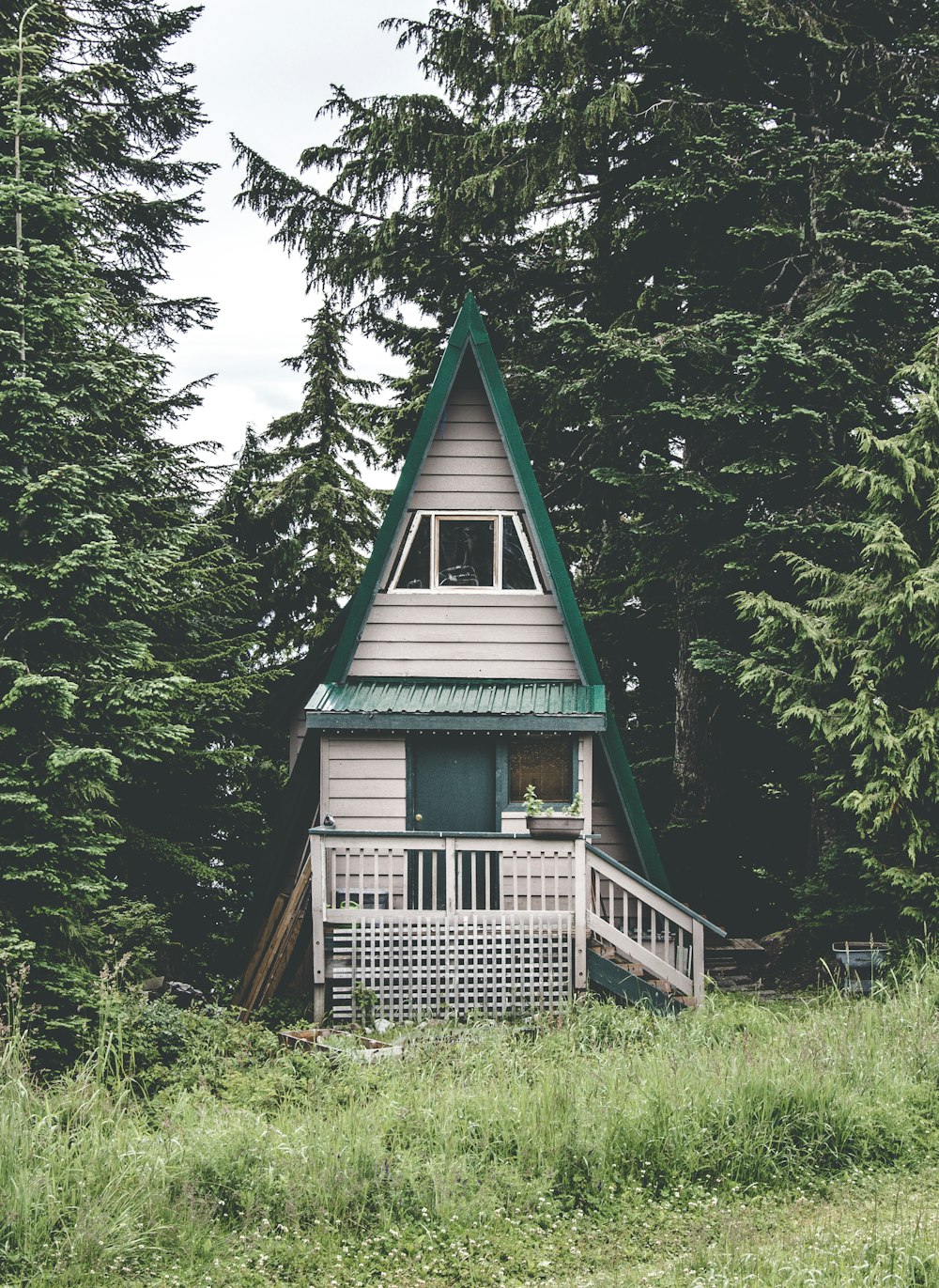 closeup photography of white and green bungalow house surrounded by trees
