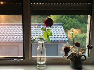 Eternal Bloom