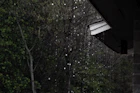 Monsoon