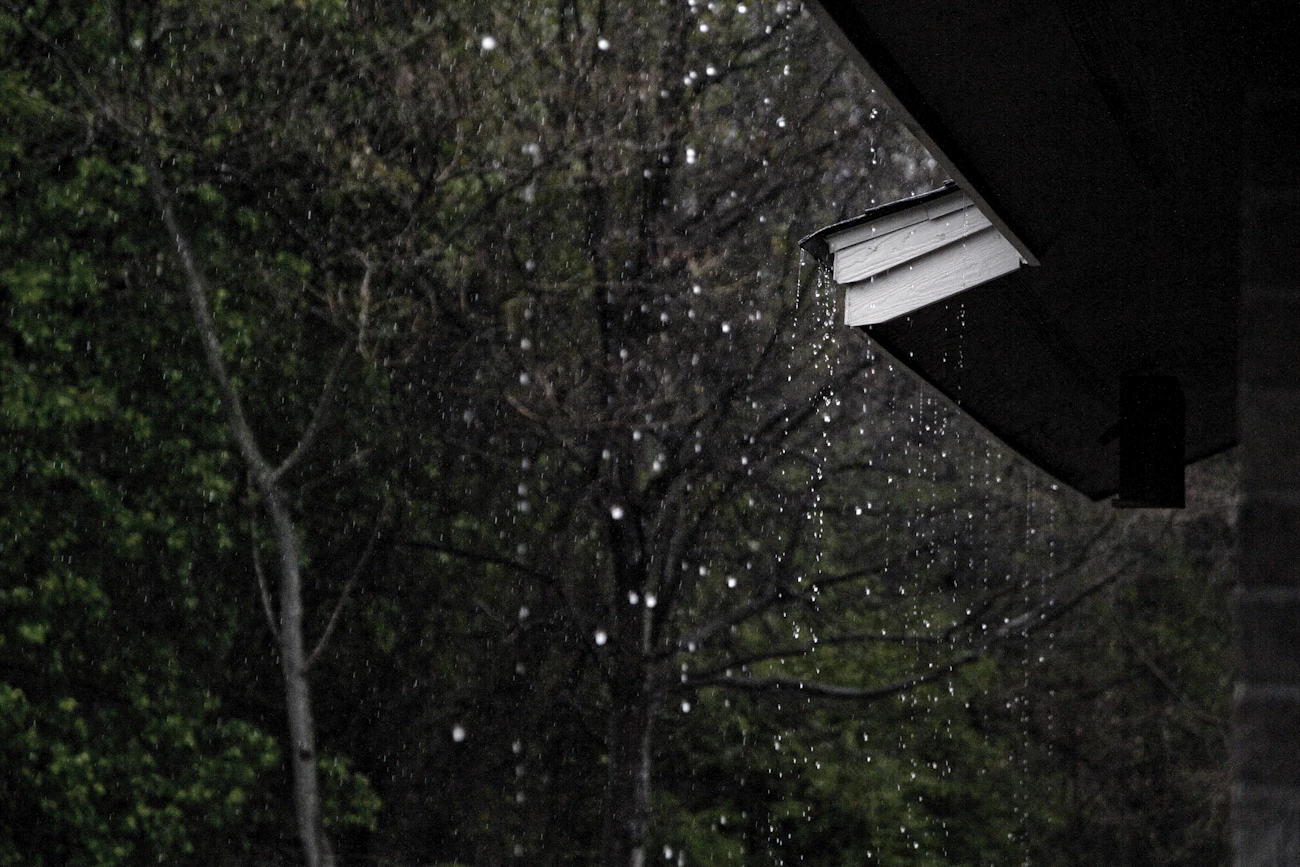 雨で濡れた建物の軒先
