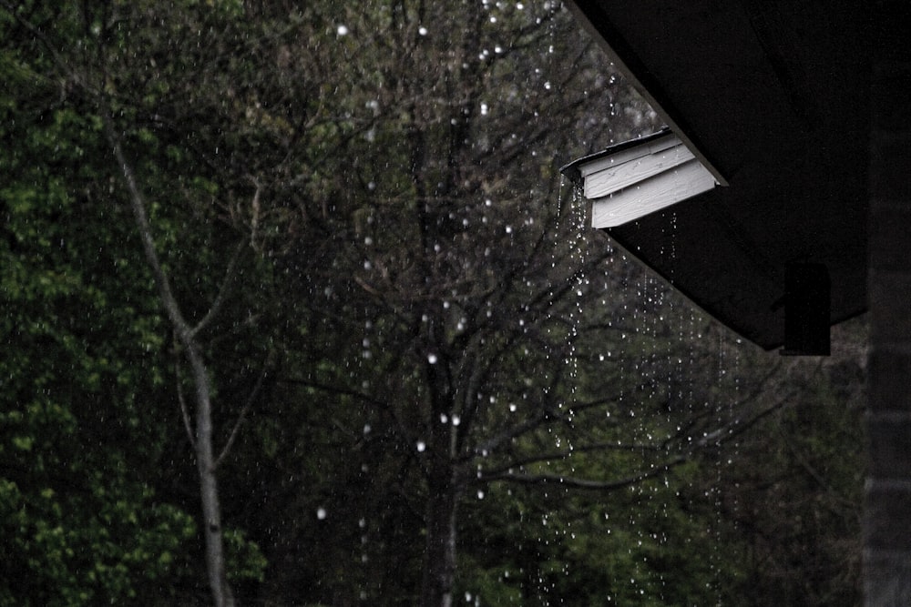 屋根から降り注ぐ雨