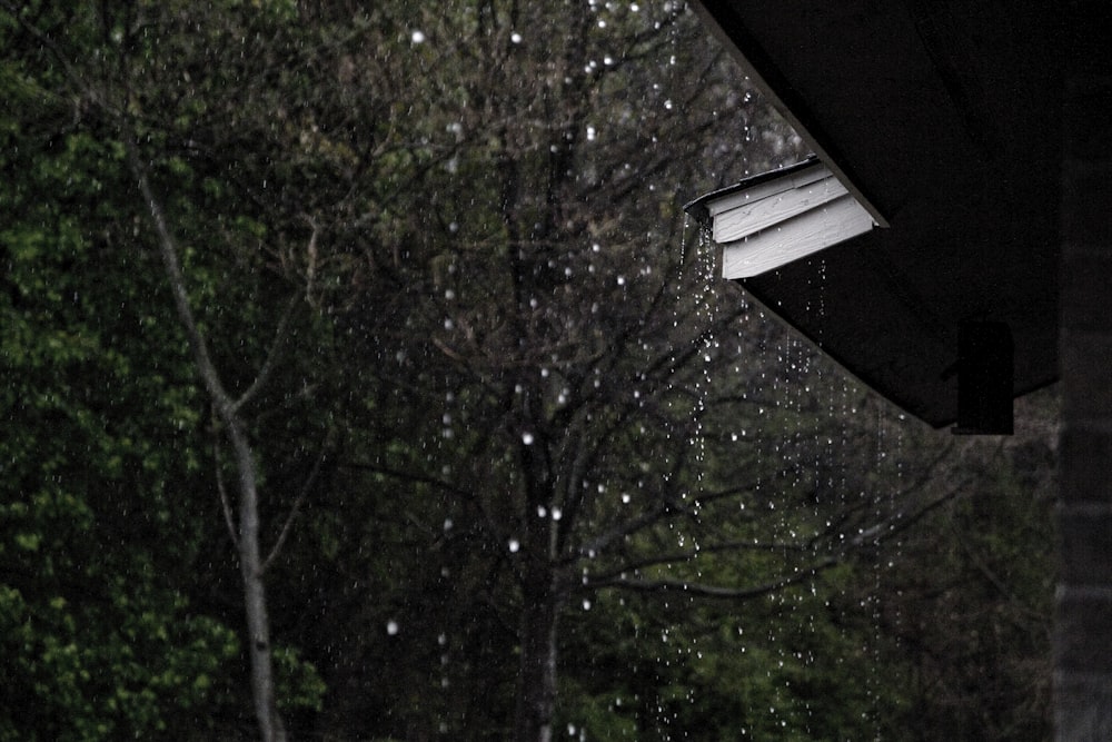 pioggia che cade dal tetto