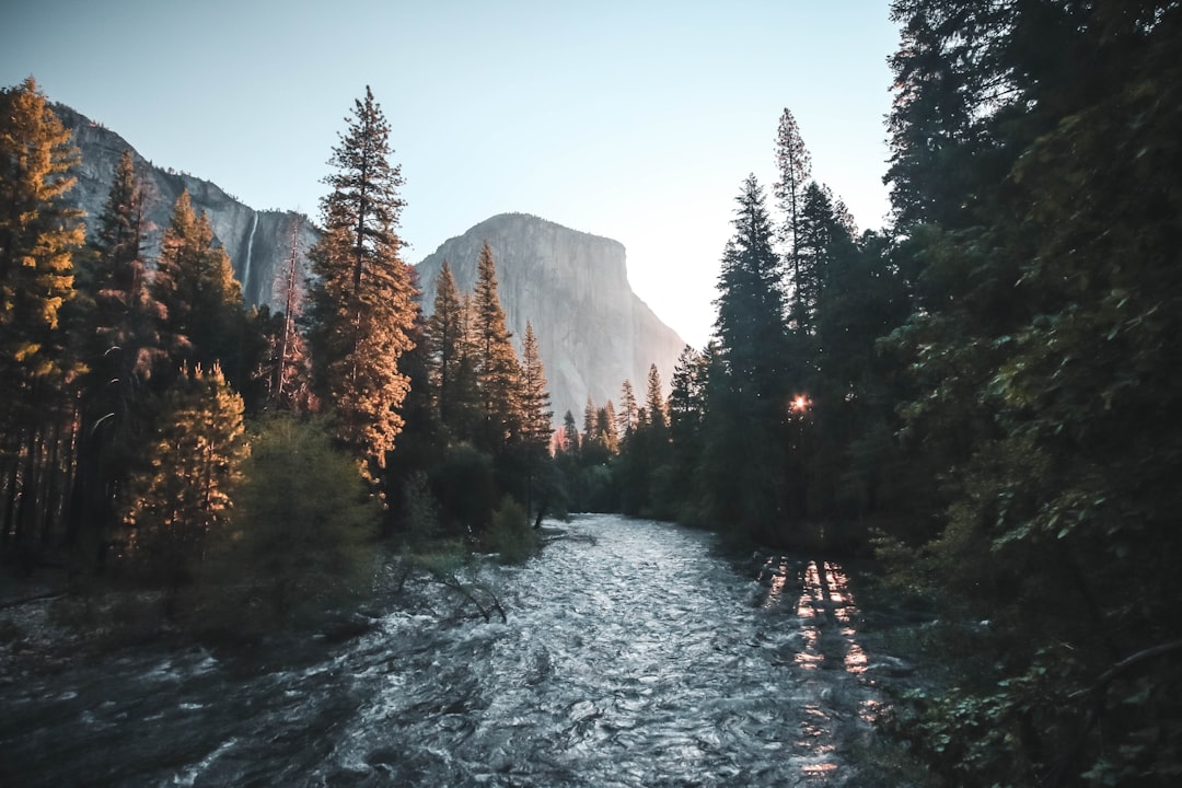 water stream surrounded with green trees, Sunrise in the valley