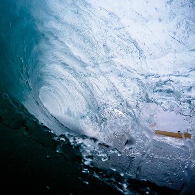 tp.web.random_picture