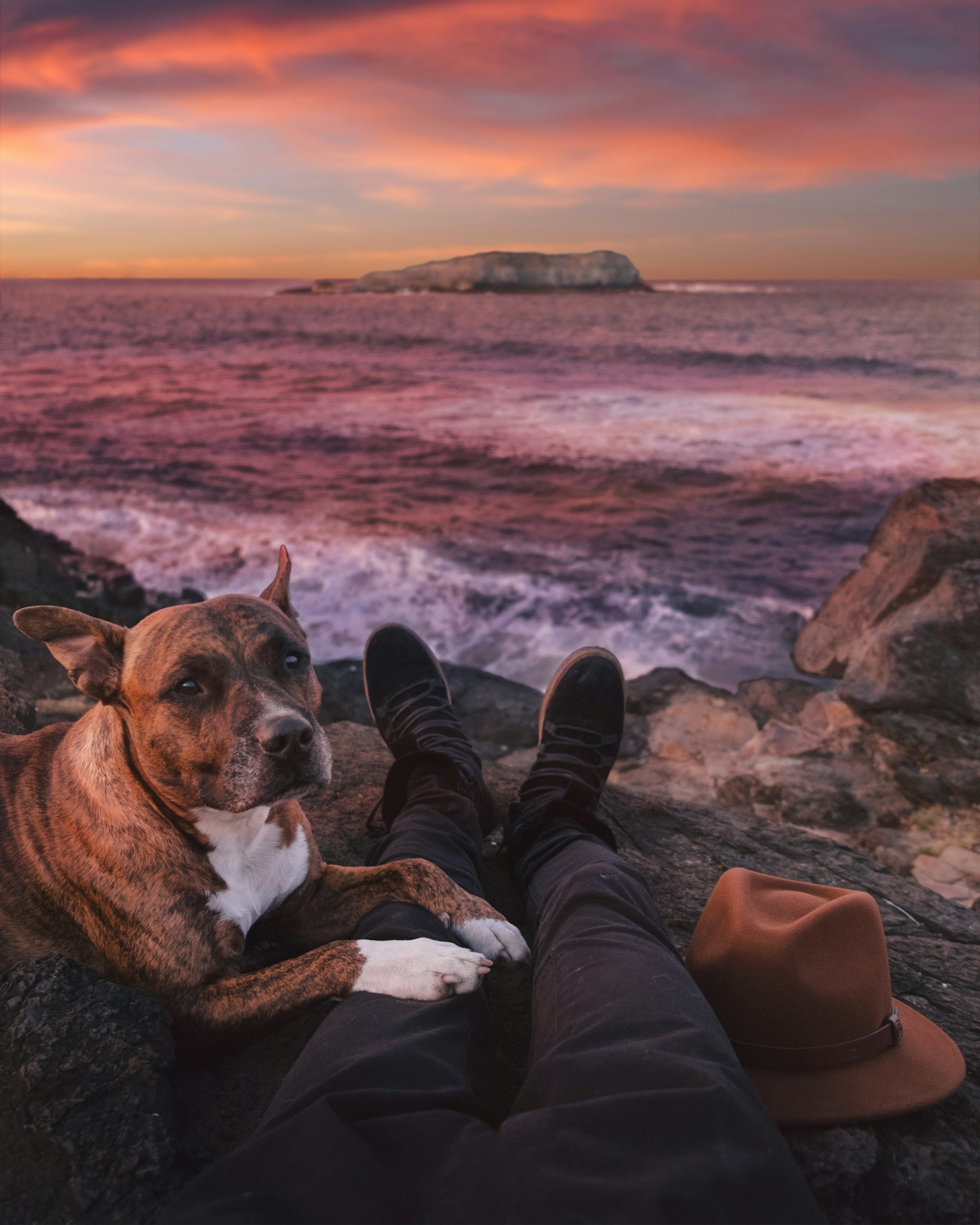 Dog and owner watching the coastal sunset