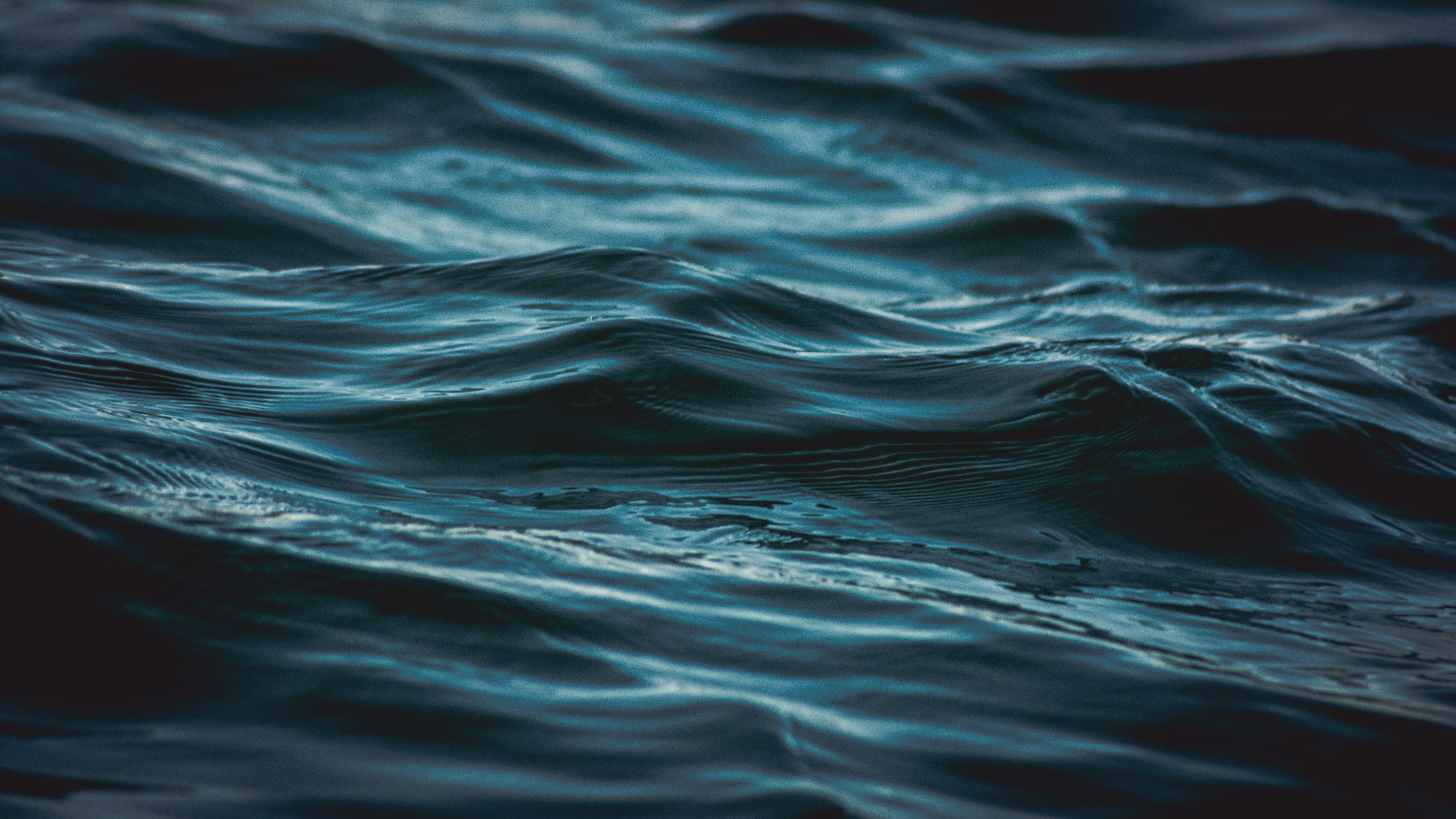 How Cold Water Affects Oxygen Utilization In The Body