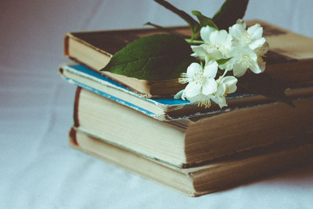 flores brancas em livros