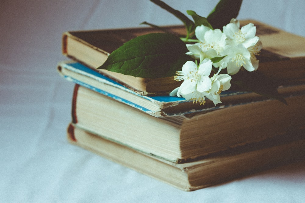 white flowers on books