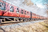 A vintage-style train with red carriages travels along a track bordered by grass and trees. Smoke billows from the train, indicating it is powered by steam. Passengers are visible through the windows, and the scene is set on a sunny day with clear skies. Shadows of branches fall across the train, adding depth to the image.