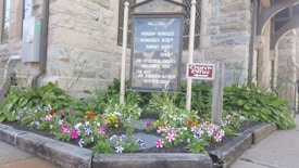 A wooden signboard displaying church service times is nestled in a small garden bed. The garden features vibrant flowers in shades of pink, purple, white, and orange, surrounded by green foliage. Nearby, a smaller sign indicates the church office. The stone exterior of a building serves as the backdrop.