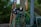 Several fishing rods are standing upright, leaning against a wooden post with their handles facing outward. In the foreground, a green fishing net with a wooden handle is visible, slightly out of focus. The background consists of blurred greenery, suggesting an outdoor setting.