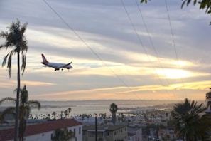 A commercial airplane is flying over a coastal city at sunset. The sky displays multicolored clouds with shades of purple, orange, and yellow. Palm trees and rooftops are visible in the foreground, as well as a body of water with numerous boats docked.