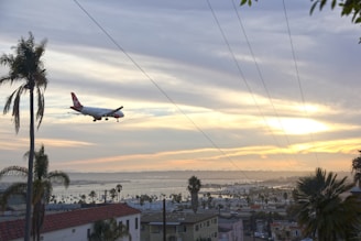 A commercial airplane is flying over a coastal city at sunset. The sky displays multicolored clouds with shades of purple, orange, and yellow. Palm trees and rooftops are visible in the foreground, as well as a body of water with numerous boats docked.