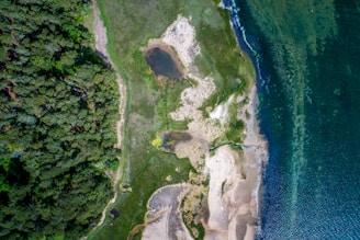 Aerial view of a coastal landscape featuring dense green forests on the left, merging into grassy fields and sandy beach areas. The shoreline curves along clear blue water, with hints of underwater formations visible. A small, brownish pond or wetland area sits near the center, surrounded by lush greenery and patches of sand.