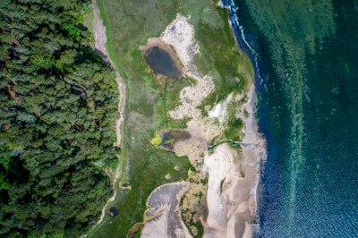 Aerial view of a coastal landscape featuring dense green forests on the left, merging into grassy fields and sandy beach areas. The shoreline curves along clear blue water, with hints of underwater formations visible. A small, brownish pond or wetland area sits near the center, surrounded by lush greenery and patches of sand.