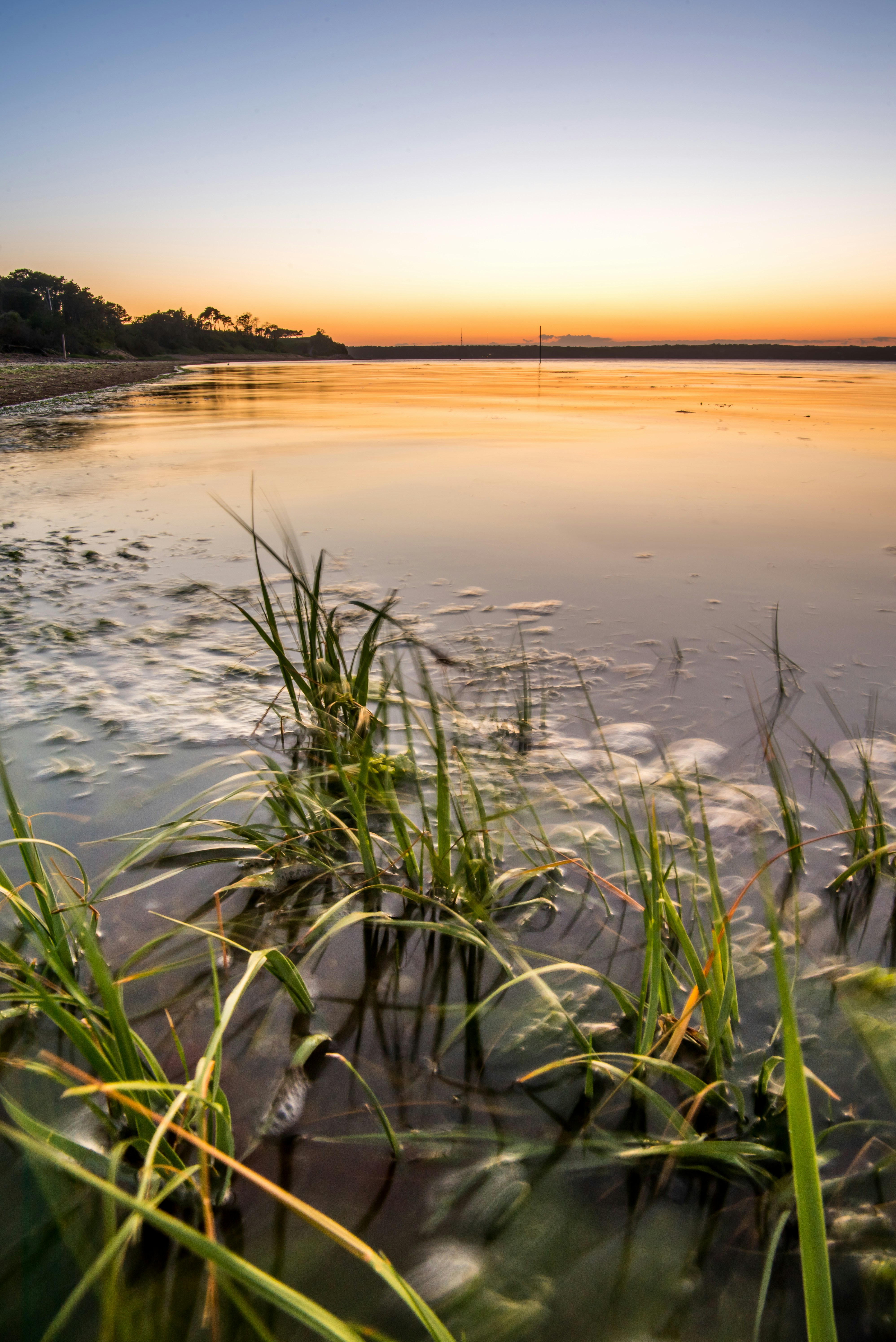 Photo by nathananderson