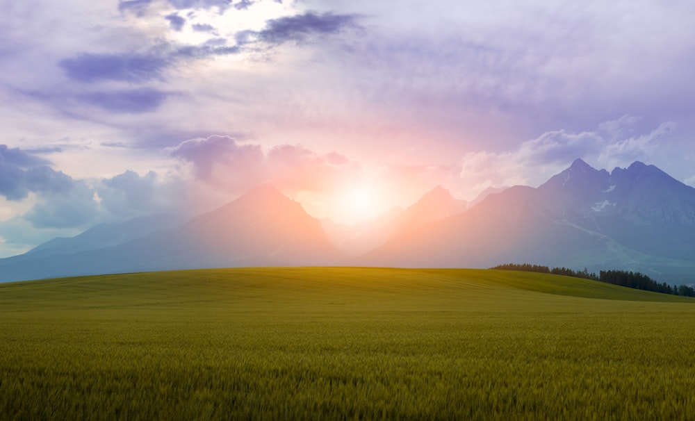 Grünes Grasfeld in der Nähe von Bergen unter bewölktem Himmel während des Tages