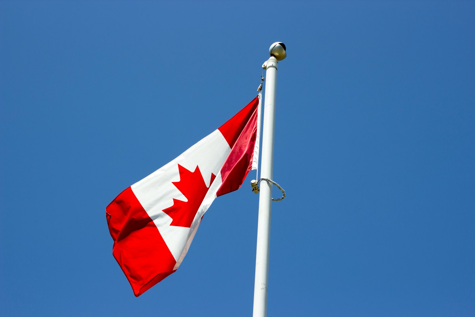 特鲁多：持旅游签者即将可入境加拿大！但有个前提……
