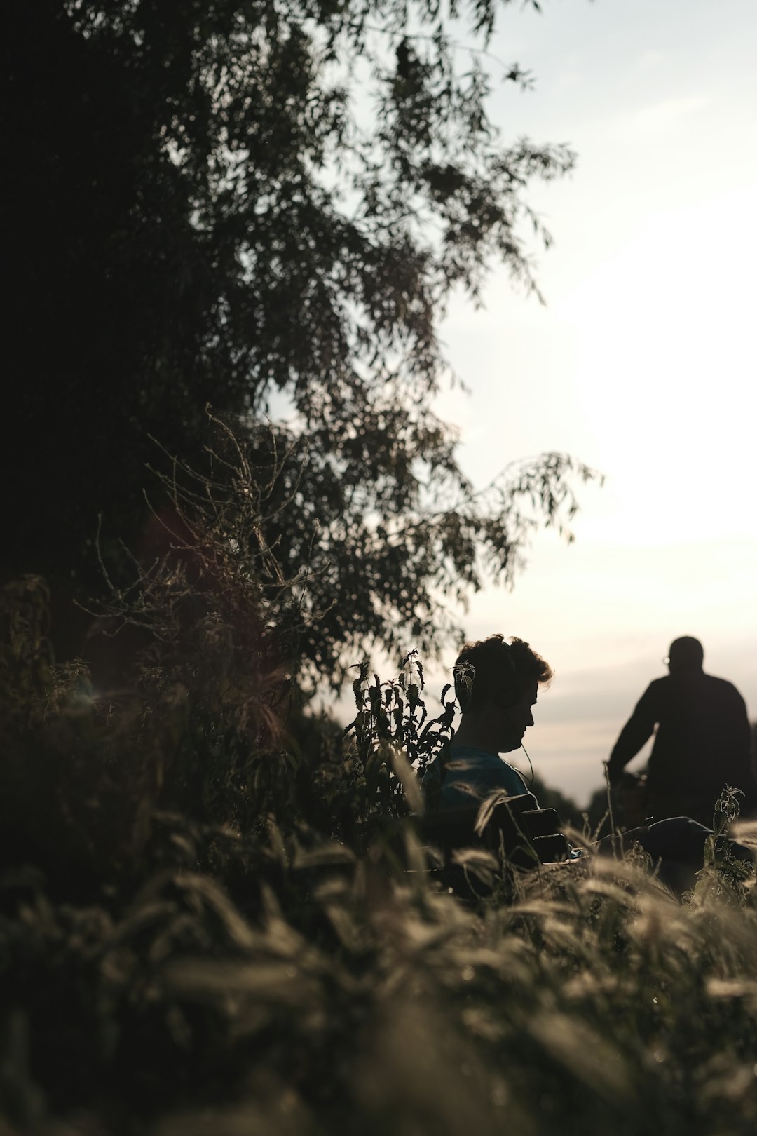 Forest photo spot Cambridge United Kingdom