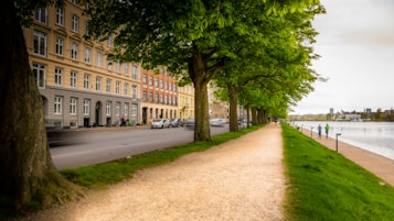 A picturesque urban scene featuring a tree-lined pathway beside a calm body of water. To the left, a row of colorful historic buildings line the street, with a few cars visible on the road. On the right, two figures are captured walking along the path. The lush greenery of the trees creates a serene atmosphere.