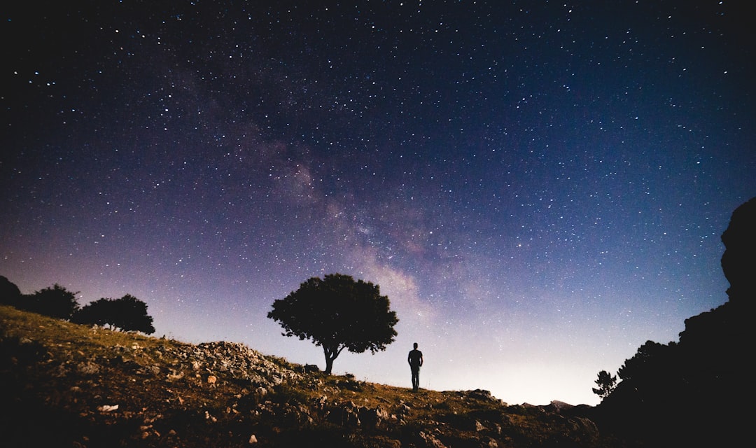 silhouette photo of person standing near trees under white stars