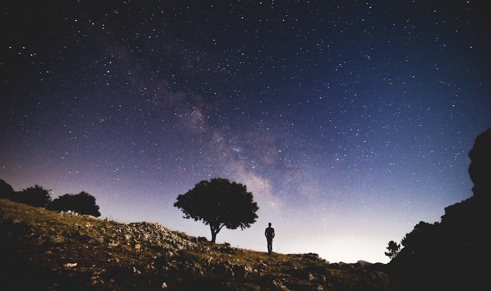 silhouette photo of person standing near trees under white stars