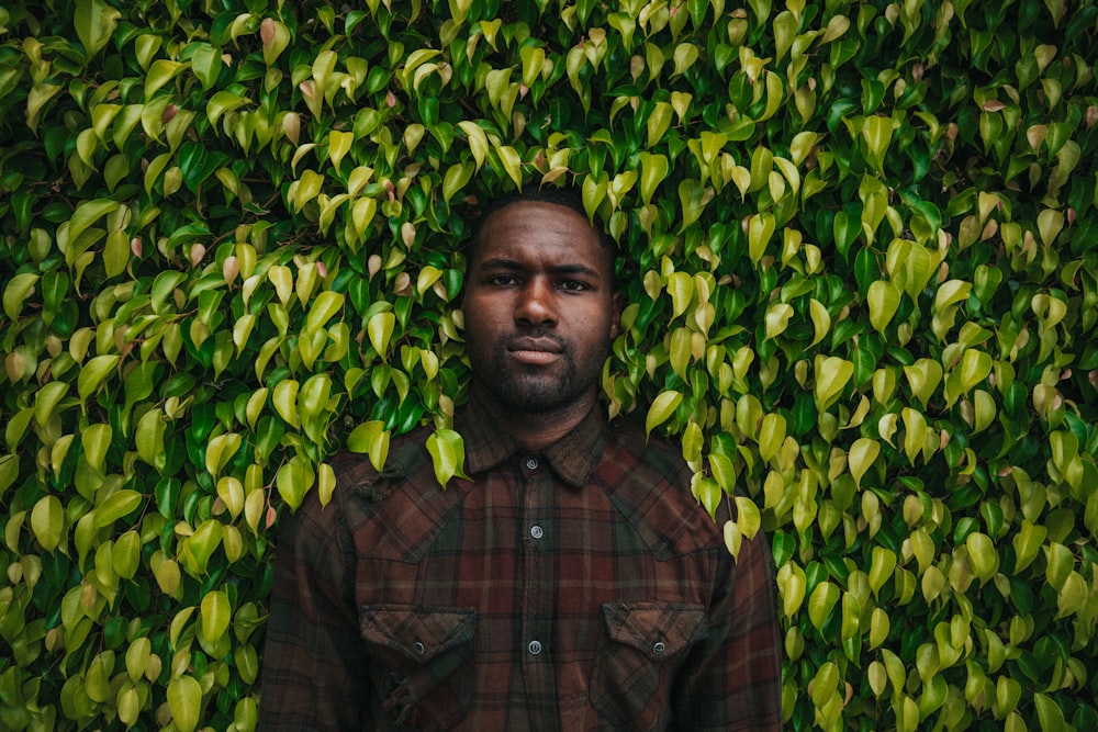 man standing in front of leafed plant