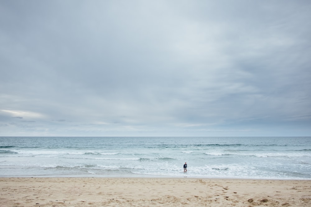 aerial photography unknown person walking on seashore