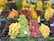 A vibrant assortment of fruits displayed in a market setting. There are bunches of bananas, grapes, plums, peaches, cherries, and apricots neatly arranged in sections. The fruits are fresh and colorful, with greenery interspersed among them, adding to the visual appeal.