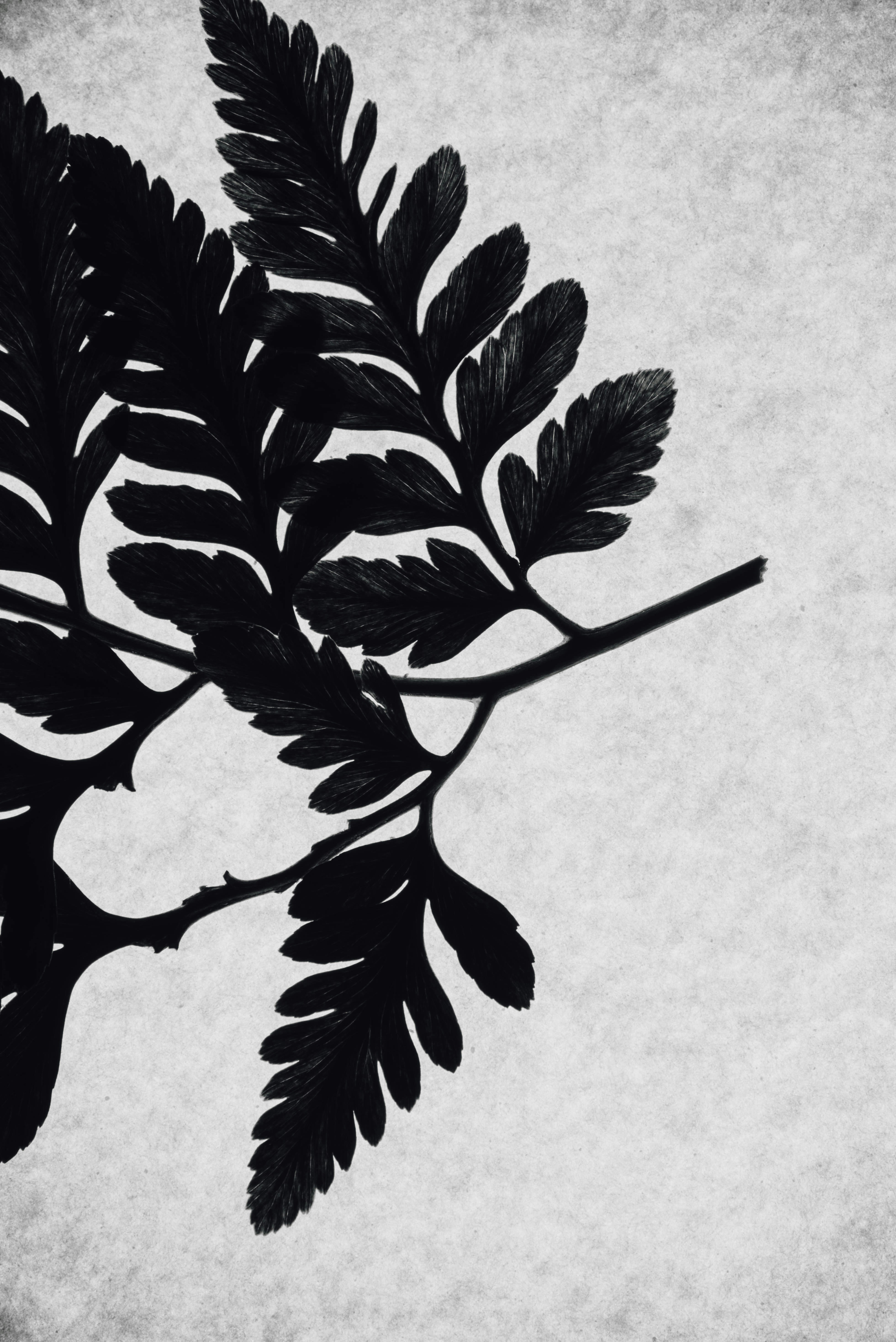 Photo by chuttersnap