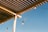 A wooden pergola with evenly spaced slats casts shadows against a clear blue sky. Light bulbs hang from green cords attached to the structure. A bird perches on one of the cords, adding a natural element to the scene.
