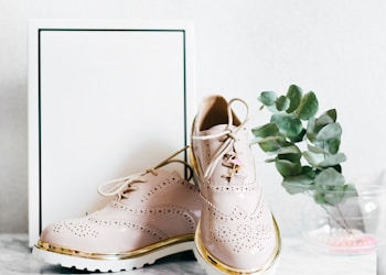 pair of shoes and white box near plant